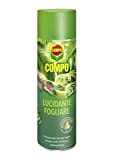 Compo Lucidante Fogliare, Spray, per Foglie Verdi, Lucide e Sane, 250 ml