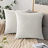 Comvi Cuscino bianco – Cuscino da divano in velluto con imbottitura e federa (2 cuscini da 40 x 40 + ...