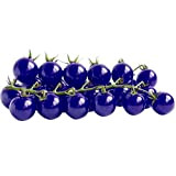 Confezione da 20 semi di pomodorini viola ciliegia semi di semi di frutta e verdura in vaso bonsai pianta pomodoro ...