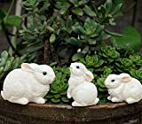 Coniglietto Figurine,Set di 3 coniglietti statua,Statua Coniglio da Giardino in Resina,Decorazione decorativa per esterni con animali da giardino.