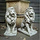 Coppia di statue di leone | Pietra ricostituita Animale Armoriale Calcestruzzo Esterno Classico Ornamento Da Giardino Decorazione