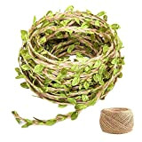Corda per foglie verdi da 10 m, con corda di canapa da 2 m, accessori per la decorazione del giardino, ...