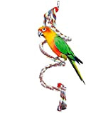 Corda per uccelli, Pappagallo da 63 pollici Altalena che si arrampica Giocattoli in piedi a spirale Sviluppa il coordinamento e ...