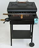 CRUCCOLINI - Barbecue a gas con pietra lavica BA31 L50h90p38cm