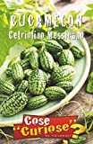 CUCAMELON Cetriolino Messicano (Melothria scabra) - SEMI