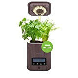 CULTIVEA® 6 in 1 Smart Indoor Vegetable Garden Legno Scuro- Giardino idroponico multifunzionale-100% semi biologici inclusi-Idea regalo di giardinaggio-Giardino con ...