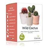 CULTIVEA® Mini - Kit di cactus pronto da coltivare - Semi francesi 100% ecologici - Fai giardinaggio e decora - ...