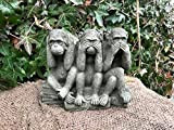 Darwin Scimmia Statua | Ornamento da giardino in cemento ricostituito