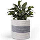 Dasing Cesto per piante in corda di cotone per piante in vaso, cesto portaoggetti in tessuto, vasi per piante da ...