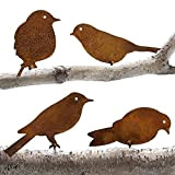Decorazione da Giardino,4 Uccelli in Metallo,Spina Giardino Decorazione Ruggine,Uccelli Arrugginiti con ​Vite,Decorazione da giardino in metallo arrugginito