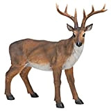 Design Toscano Grande cervo maschio Statua richiamo per cervi Statua animale, poliresina, a colori, 71 cm