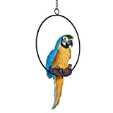 Design Toscano Polly il pappagallo in paradiso Statua di uccello sul suo trespolo, poliresina, a colori, Media 35,5 cm