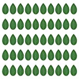 DIFCUL 50 pezzi Clip piante Attacco piante rampicanti ， Clip per attacco a staffa autoadesiva per la decorazione domestica Piante ...