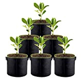 DOTTOD - Sacco per Piante in Tessuto Non Tessuto, 6 Pezzi 3 galloni/5 galloni/7 galloni/10 galloni pianta Grow Bag per ...