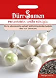 Dürr Samen 0161 - Cipolla di perla "Regina bianca (semi di cipolla)