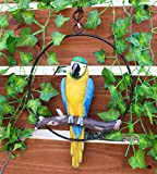 Ebros Patio Home Garden Hanging Scarlatto Macaw Pappagallo trespolo su ramo in metallo anello rotondo statuetta scultura Nature Lovers Tropical ...