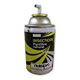 Effetto shock insetticida di piretro naturale contro mosche e zanzare