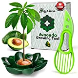 EKARIAN Strumento per la coltivazione di avocado | Regalo per le donne | Coltiva la tua pianta di avocado | ...