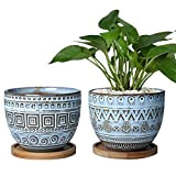 EPGardening Fioriera bluastra, in stile retrò, per piante grasse, in ceramica, con geometria, grande, rotonda, per piante grasse, per interni ...