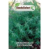 Erba Aromatiche,Dragoncello,Estragone,Artemisia Semi 2 Buste MAXI