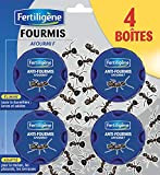 EverGreen FERTILIGENE Anti-FOURMIS Lot DE 4 BOITES FIPB4