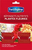 EverGreen FERTILIGENE BATONNETS ENGRAIS PLANTES FLEURIES BL X 40 FBPF