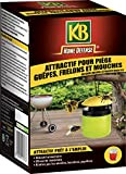 EverGreen KB Home Defense Recharge PIEGE A GUEPES FRELONS ET MOUCHES 200 ML X6 HDPIEGERE