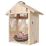 Exing - Casa per uccelli in legno, con ventosa, casetta per uccelli in legno, per esterni