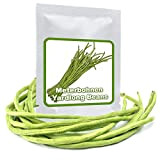 Fagiolo asparago, 20 semi, per fagioli con lunghezza fino a 1 metro