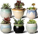FairyLavie Vaso per Piante Succulente in Ceramica da 9 cm, Vasi di Piante Carini in Stile Rustico, Perfetto per Arredamento ...