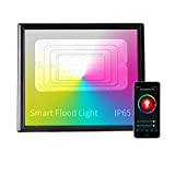 Famkrw 30W Faretto LED RGB WiFi Smart,IP66 Impermeabile Proiettore,Multi Colore,Luce da Giardino con App Controllo,Compatibile con Alexa E Google Controllo,Sincronia ...