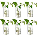 Fashionstorm Fioriere sospese da parete in vetro per piante in vetro Terrario Air Plant Holder (6, forma a tubo quadrato)