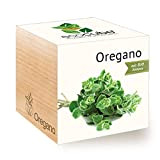 Feel Green - Eco cubo Ecocube origano, Semi biologici, Idea Regalo sostenibile, 100% Ecologico, Kit per Crescere piantine in Un ...