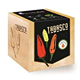 Feel Green Ecocube - Tabasco per coltivare il tuo kit in un cubo di legno, prodotto in Austria | regalo ...