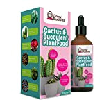 Fertilizzante alimentare per cactus e succulente – Fertilizzante concentrato liquido per cactus sani e succulente 100 ml – Crescita vigorosa ...