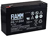 FIAMM Batteria piombo-acido ricaricabile FG11202 Vds, 6 V, Lead Acid-Batteria al piombo,]
