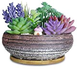 Fioriera succulenta, grandi vasi succulenti con vassoio di bambù di drenaggio, vasi per bonsai in ceramica da 20 cm per ...