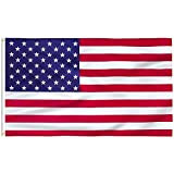 FLAGBURG Bandiera Americana Bandiera d'America Stati Uniti 90x150-Durevole per la Decorazione di Esterni/Interni/Giochi