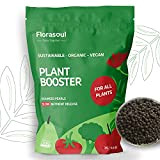 Florasoul Plant Booster Concime Universale Granulare 3kg Concime Organico Vegano, Effetto a Lungo Termine 3 Mesi Concime Piante Verdi e ...