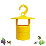 Floriana-Bulbose BIO Trappola cromotropica per Difesa Eco da Insetti dannosi su olivi, Frutti e apiarii 3ERRRE (Giallo)