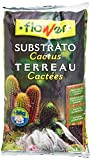 Flower - Terriccio per Cactus, 5 Litri