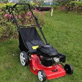 FMOPQ 20 inch Push/Auto Lawn Mower 7-Speed Adjustable Lawnmower Cordless Petrol Garden Tool Suitable for all Kinds of Lawn Places ...