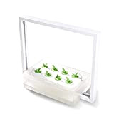 FMOPQ Soilless Cultivation Planter Indoor Garden Kit with LED Planting Lamp 8-Hole Automatic Vegetable Growing Machine in Household (30W) (Color ...