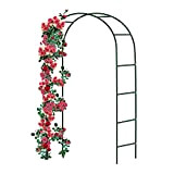 Forever Speed ​​​​Rose Arch in metallo a traliccio per rose in acciaio verniciato a polvere, decorazione e ornamento da giardino, ...