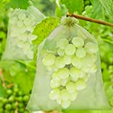 FORMIZON Sacchetto di Protezione Dell'uva, 60 Pezzi 3 Taglie Sacchetto di Protezione della Frutta, Sacchetto di Organza con Coulisse per ...