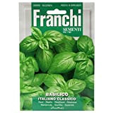 Franchi - Basilico classico italiano