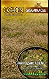 Franchi Grano SARACENO da Semina in Confezione da 100 Grammi