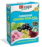 Funghicida Zapi Oidio Zolfo WDG 200 g