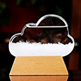 Fuoliystep, vetro tempesta meteo, tempesta meteo, barometro liquido nuvole, predictor meteo moda ufficio desktop casa decorativo vetro meteo regalo per ...