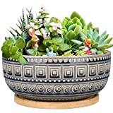 G EPGardening Vaso per piante grasse in ceramica, 20,5 cm, per piante d'appartamento, rotondo, poco profondo, bonsai, con drenaggio e ...